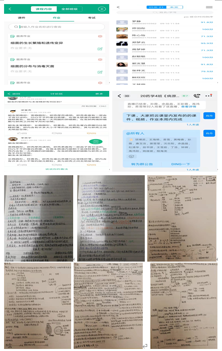 584FB 584FB